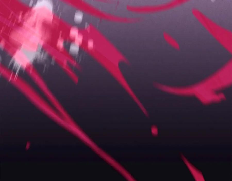 第224页
