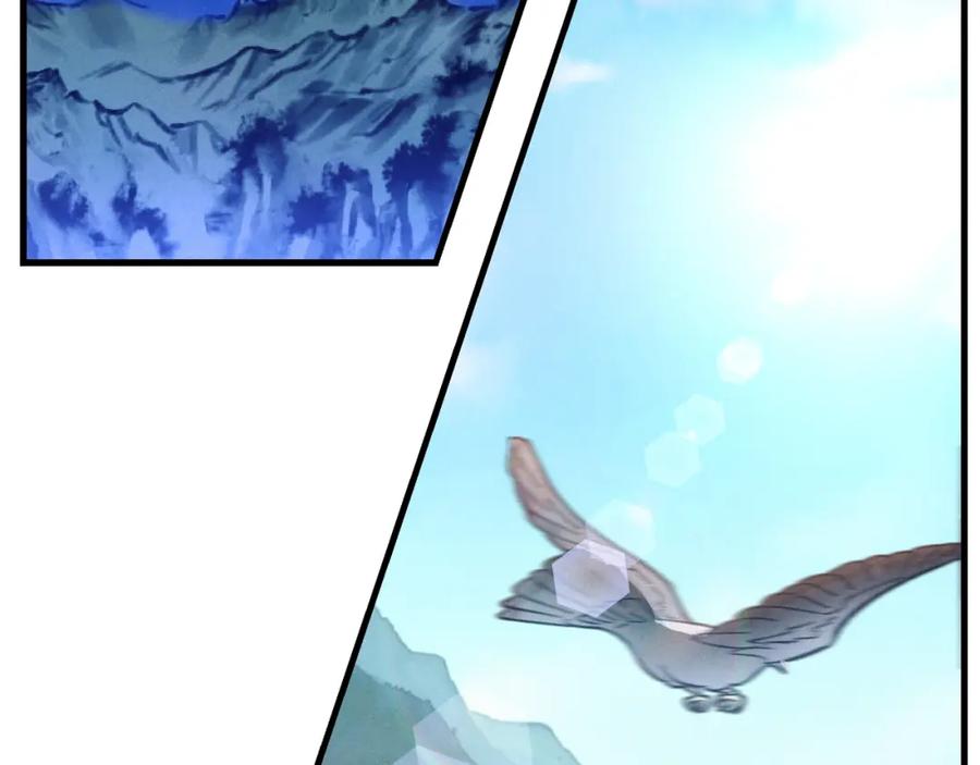 第242页
