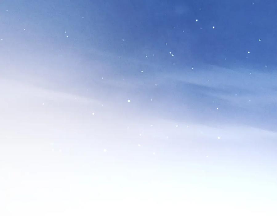 第204页