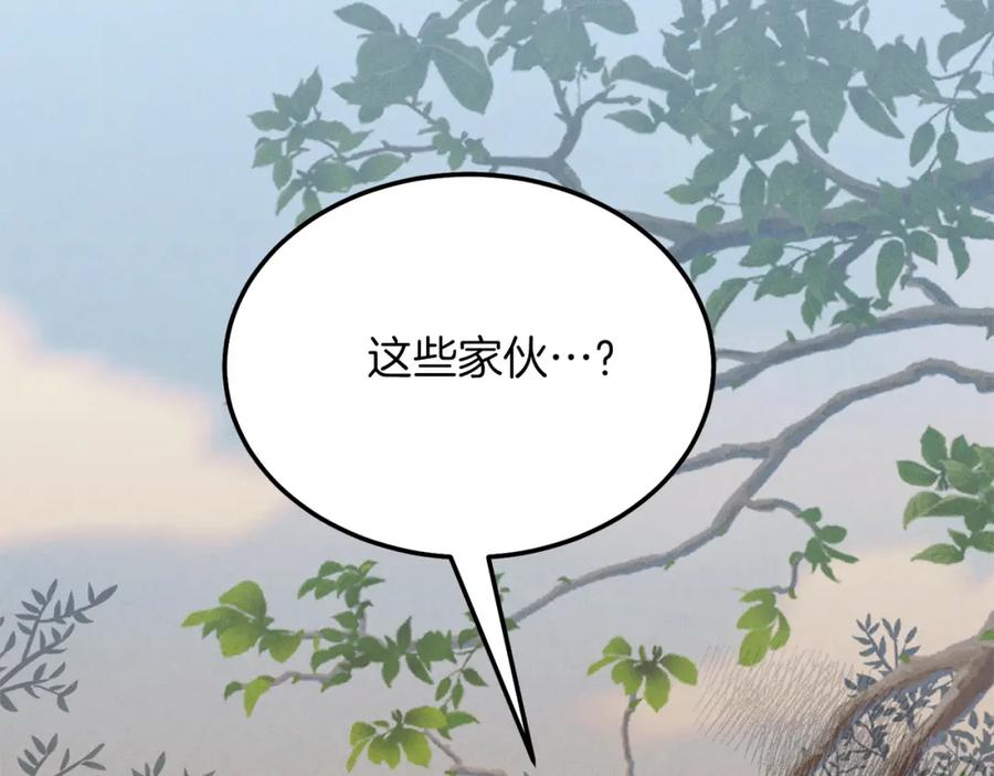 第242页