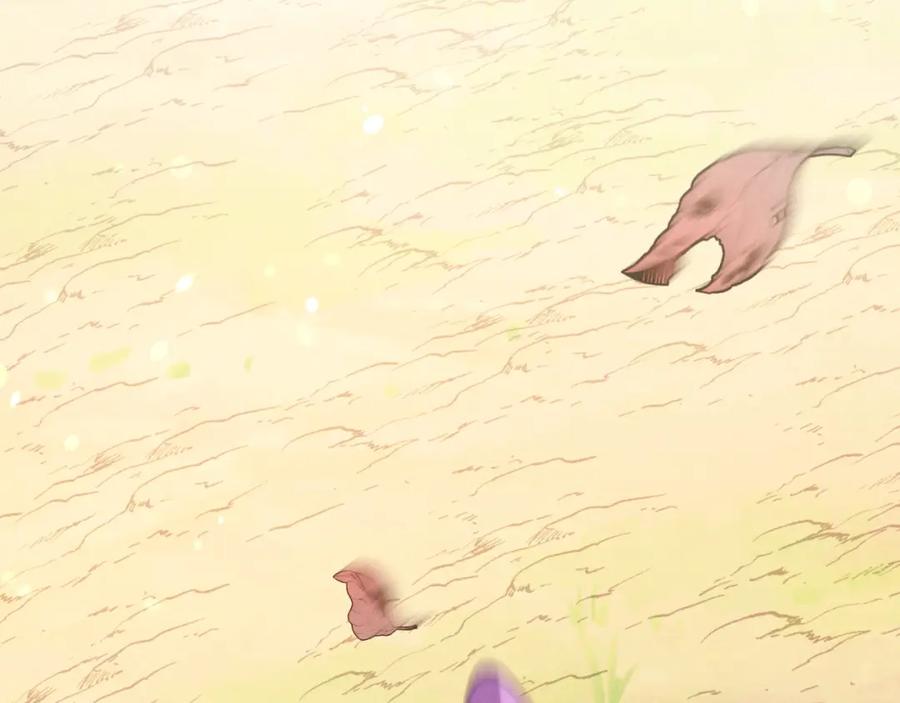 第196页