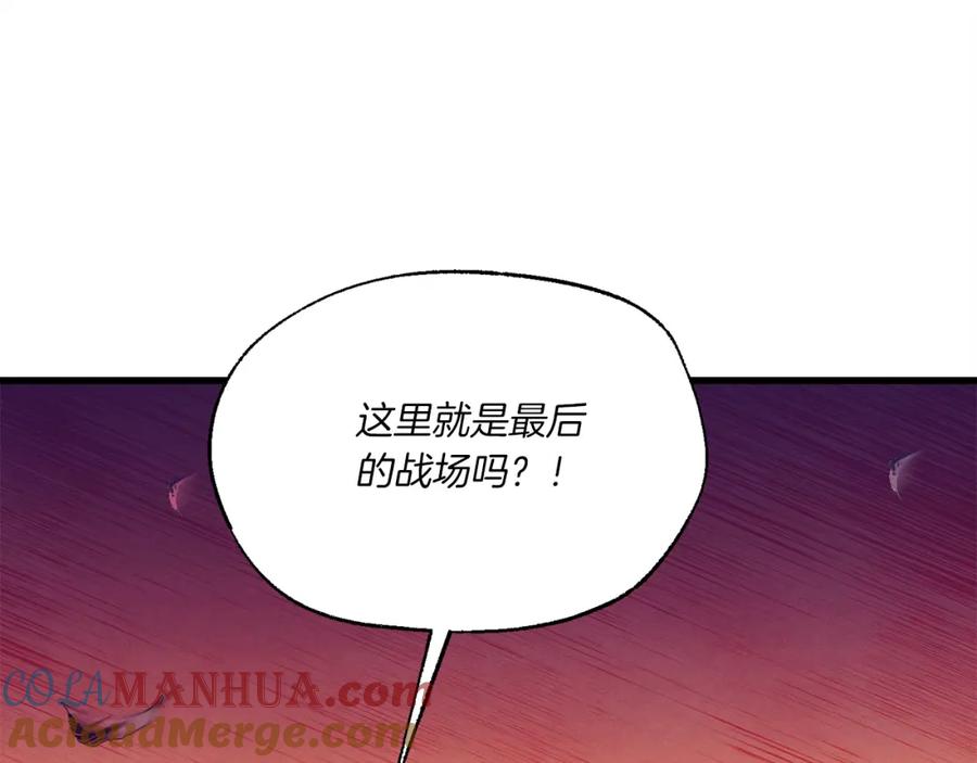 第205页