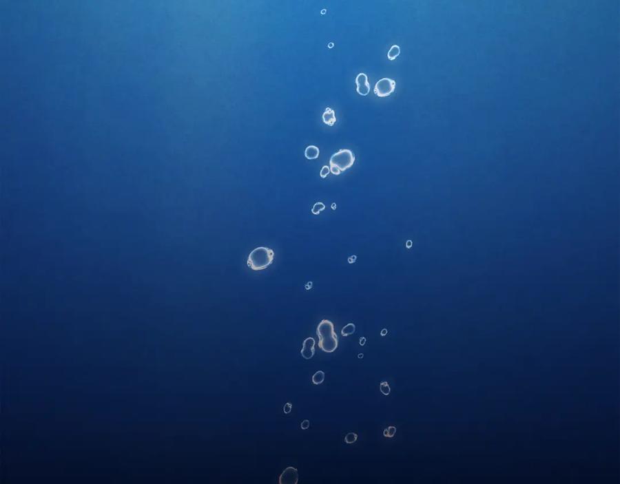 第151页