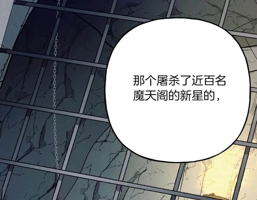 第223页