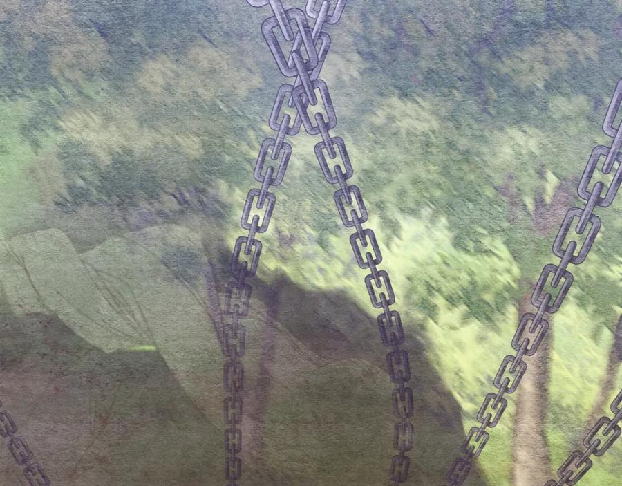 第230页