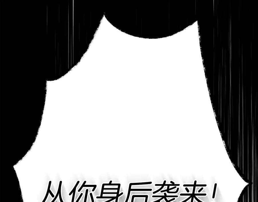 第247页