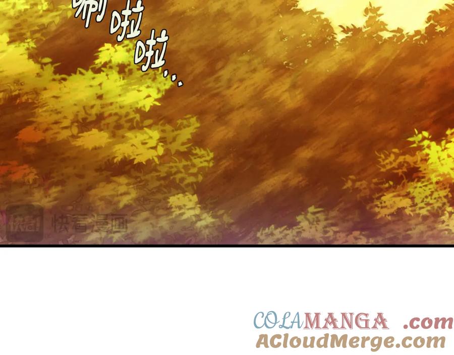 第229页
