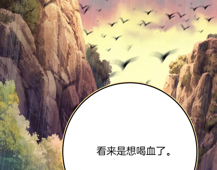 第240页