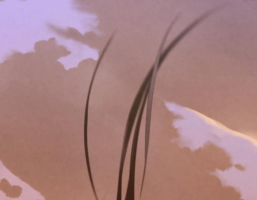 第216页