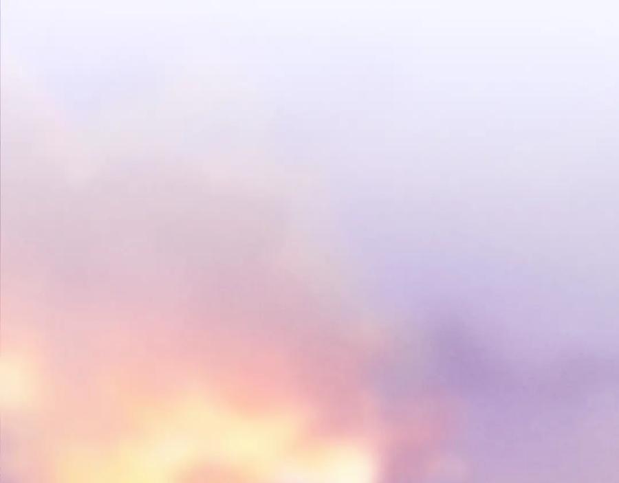 第251页