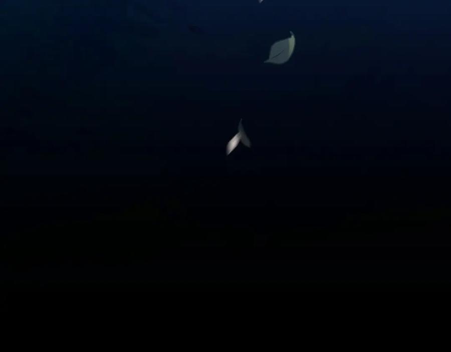第318页