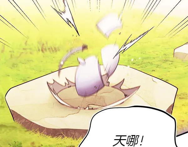 第256页