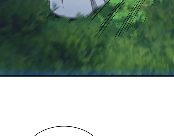 第223页