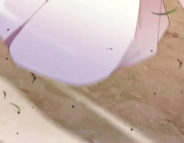 第250页