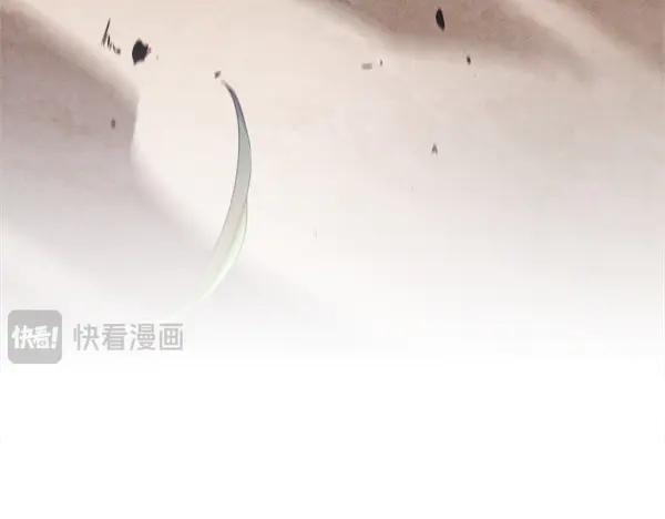 第251页
