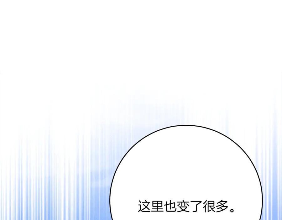 第223页