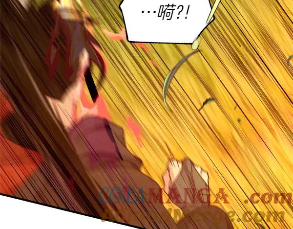 第213页
