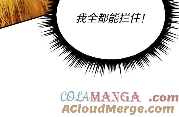 第217页