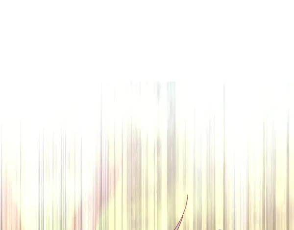 第223页