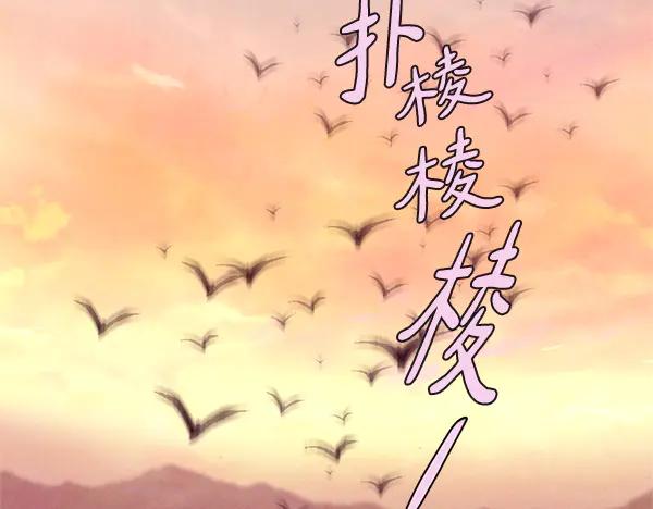 第196页