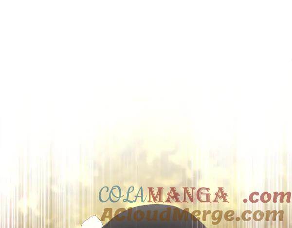 第221页