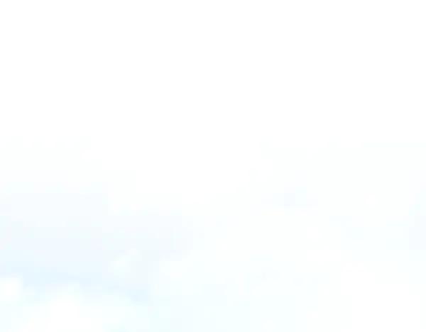 第242页