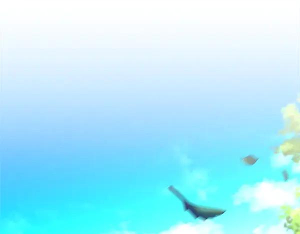 第258页