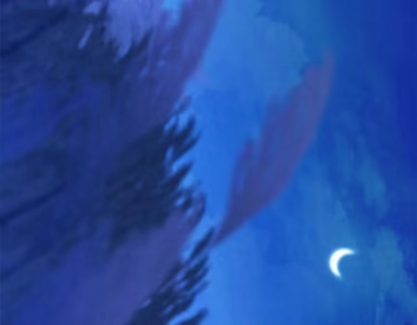 第234页