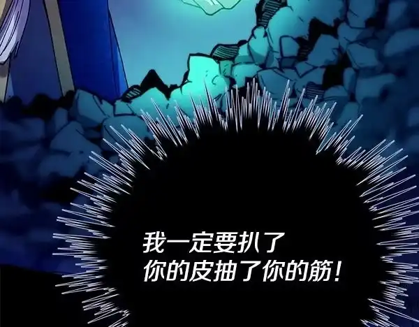 第223页