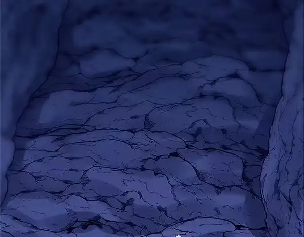 第215页