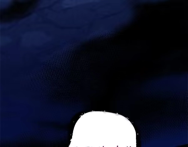 第224页