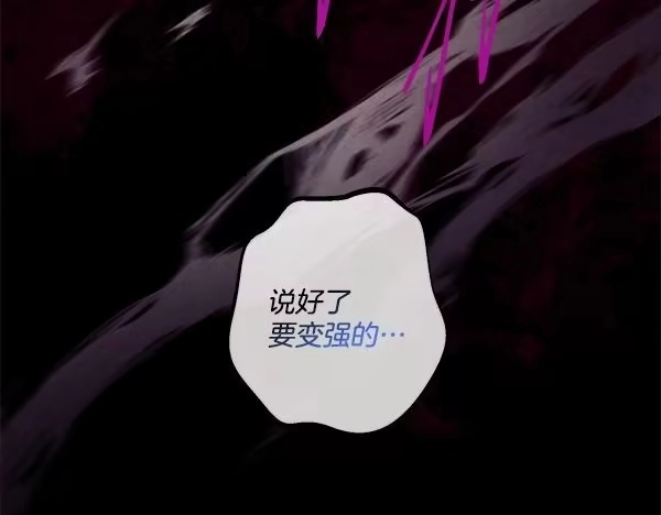 第244页