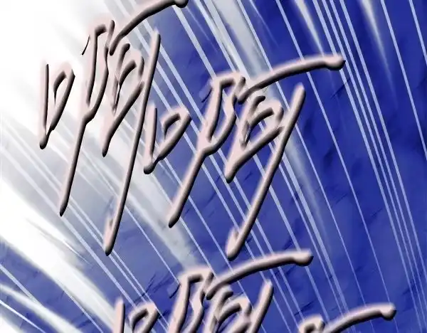 第255页