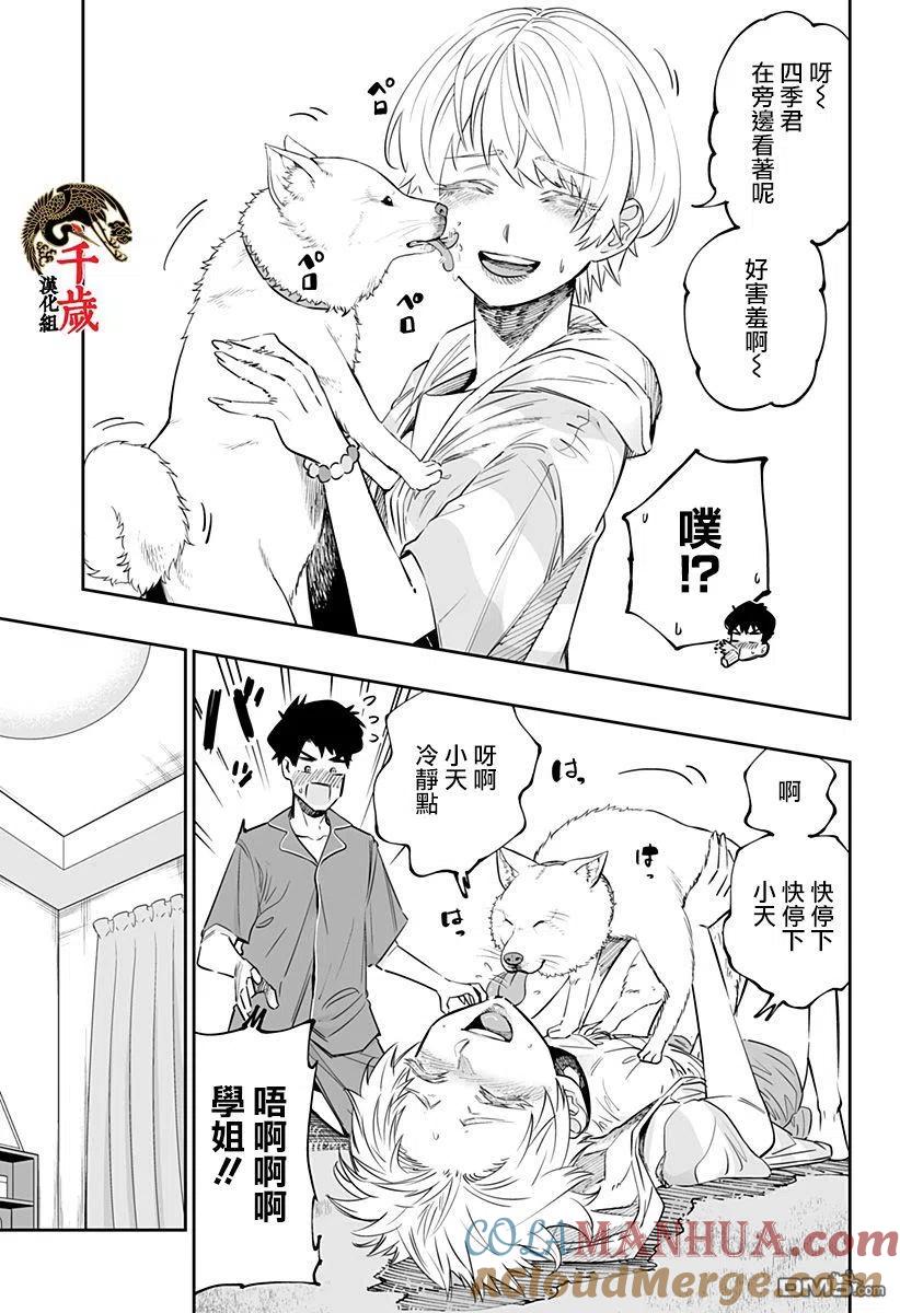 第7页