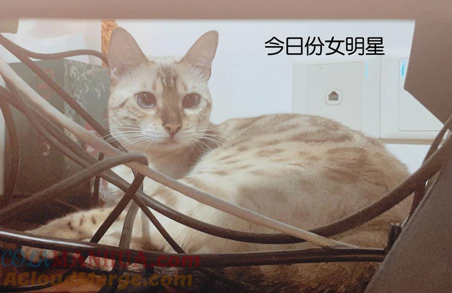 第41页