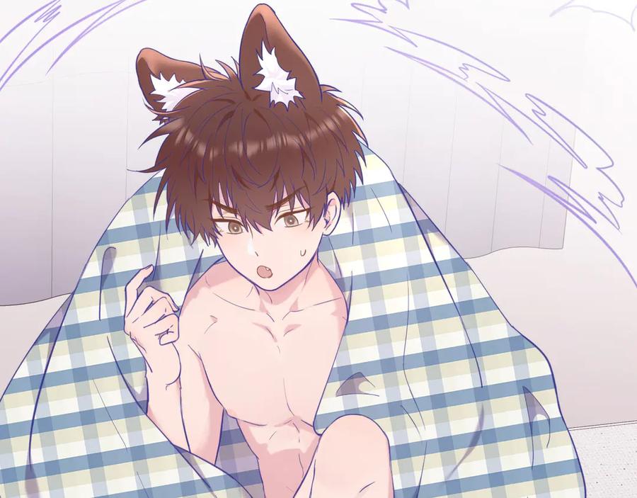 第71页