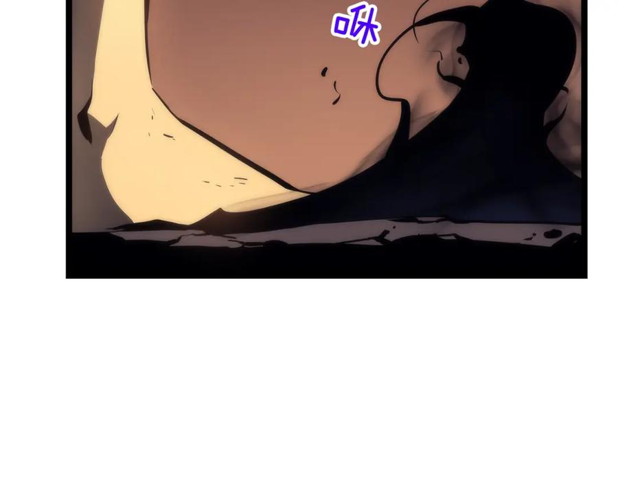 第243页