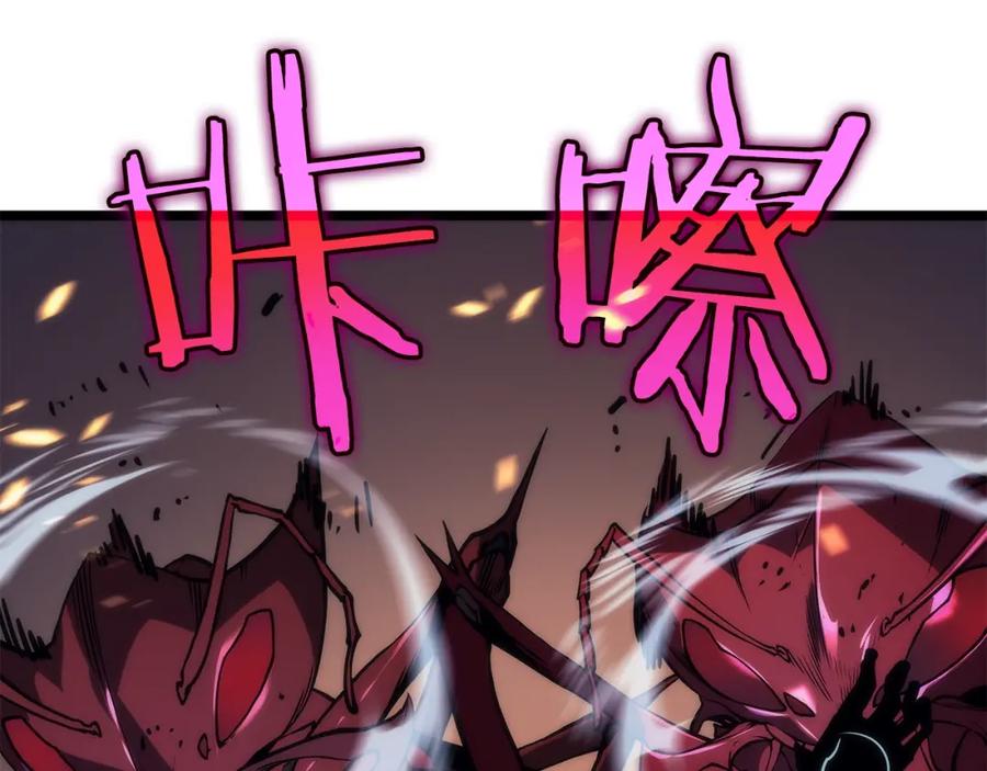 第244页