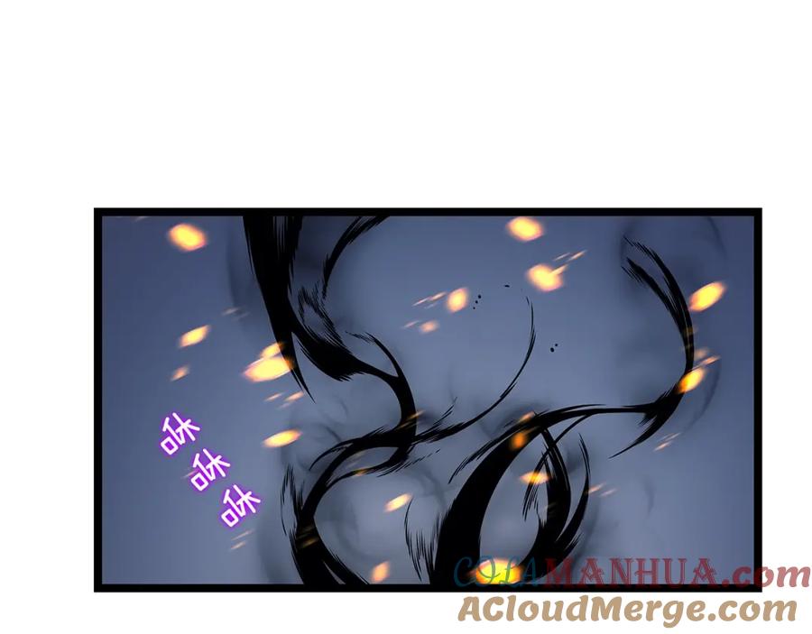 第205页