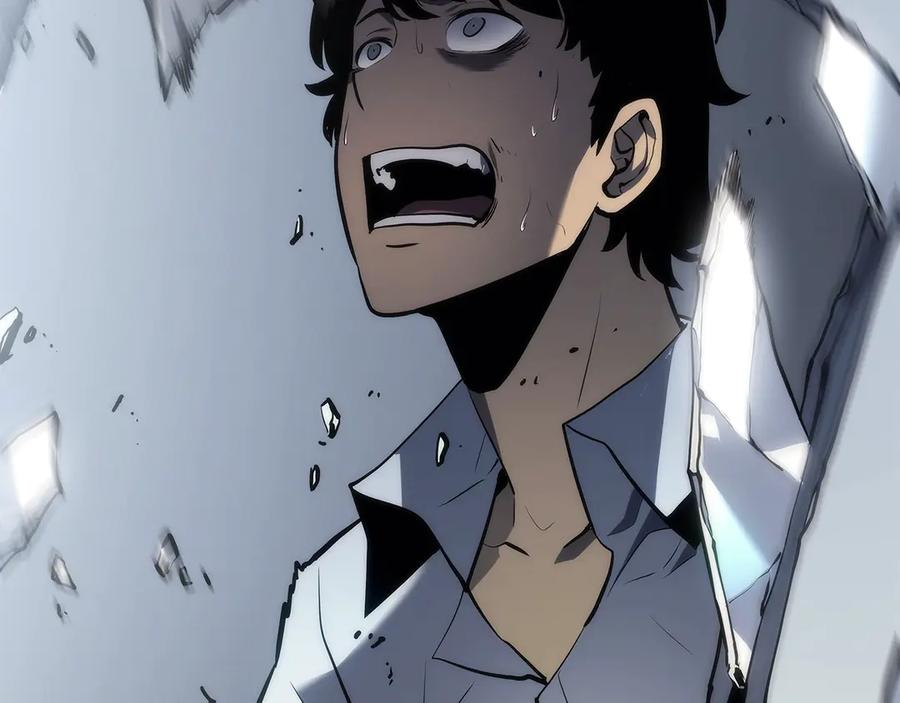第195页