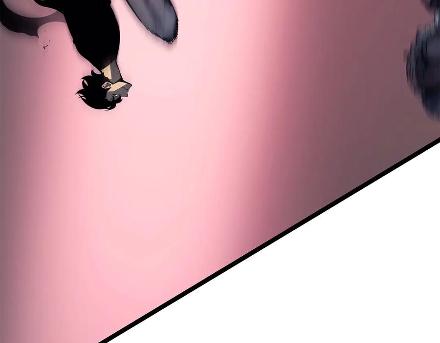 第234页