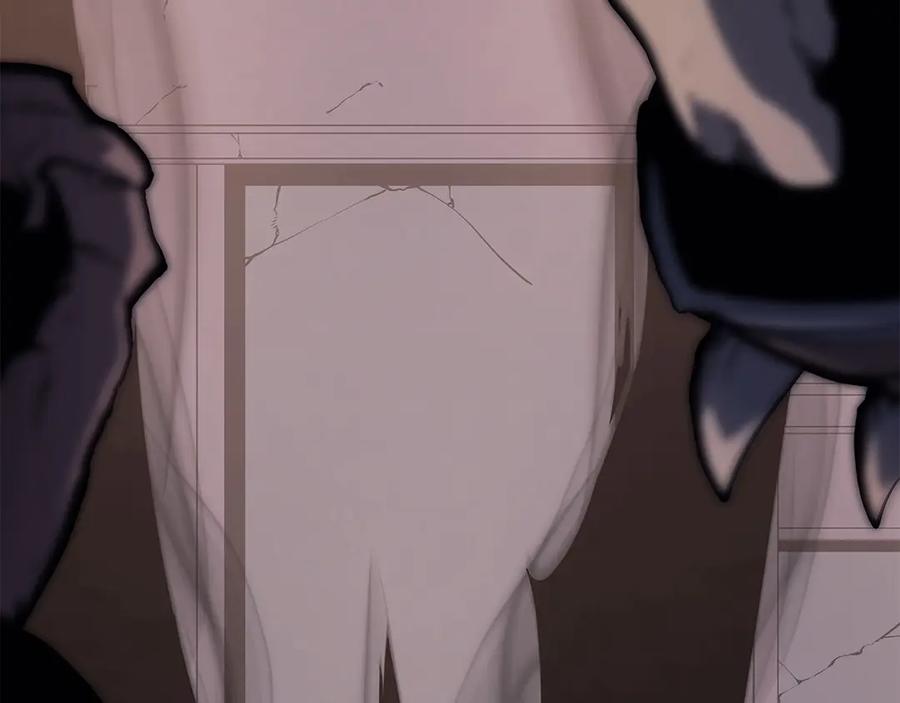 第239页