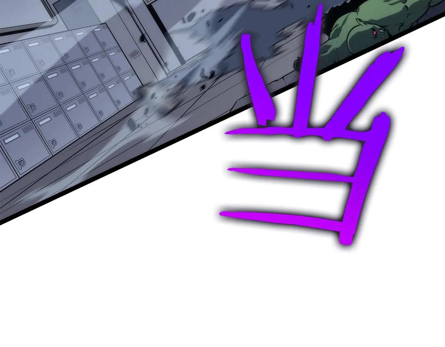 第224页