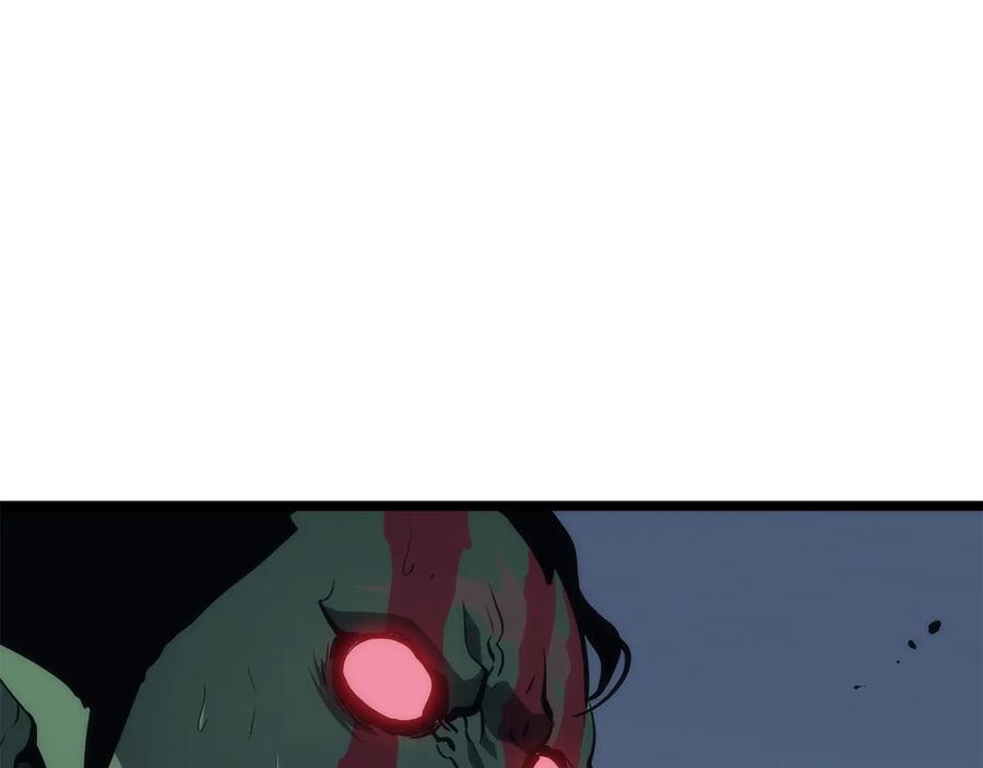 第242页