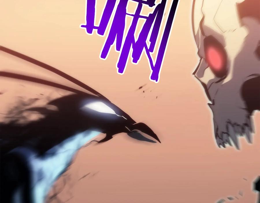 第234页