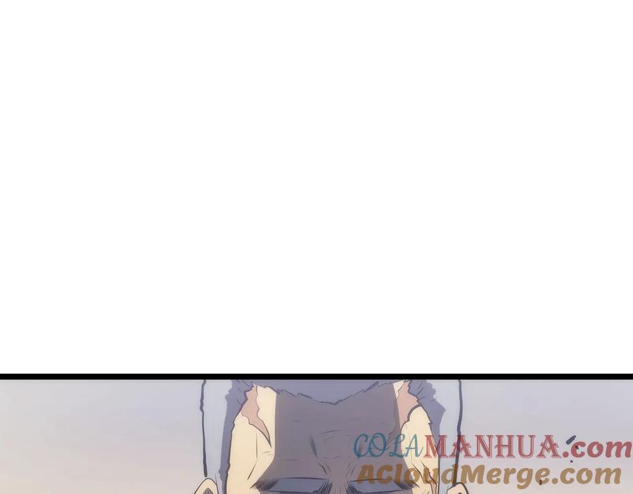 第229页