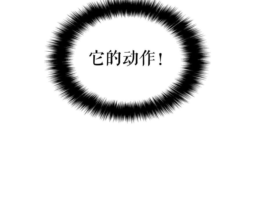 第206页