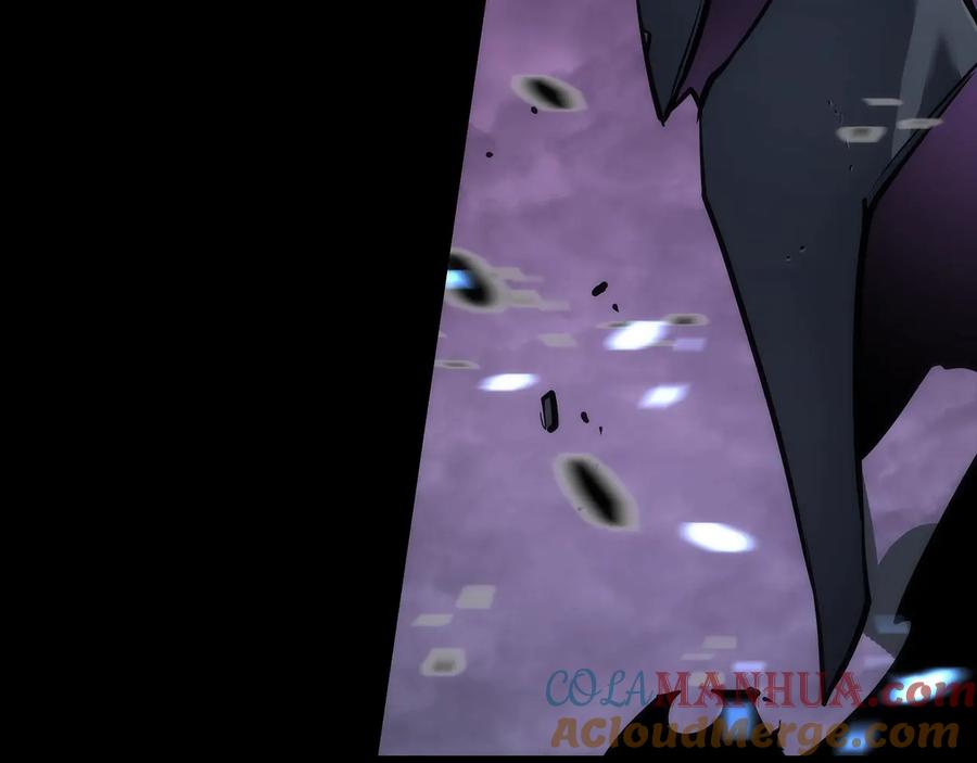 第217页
