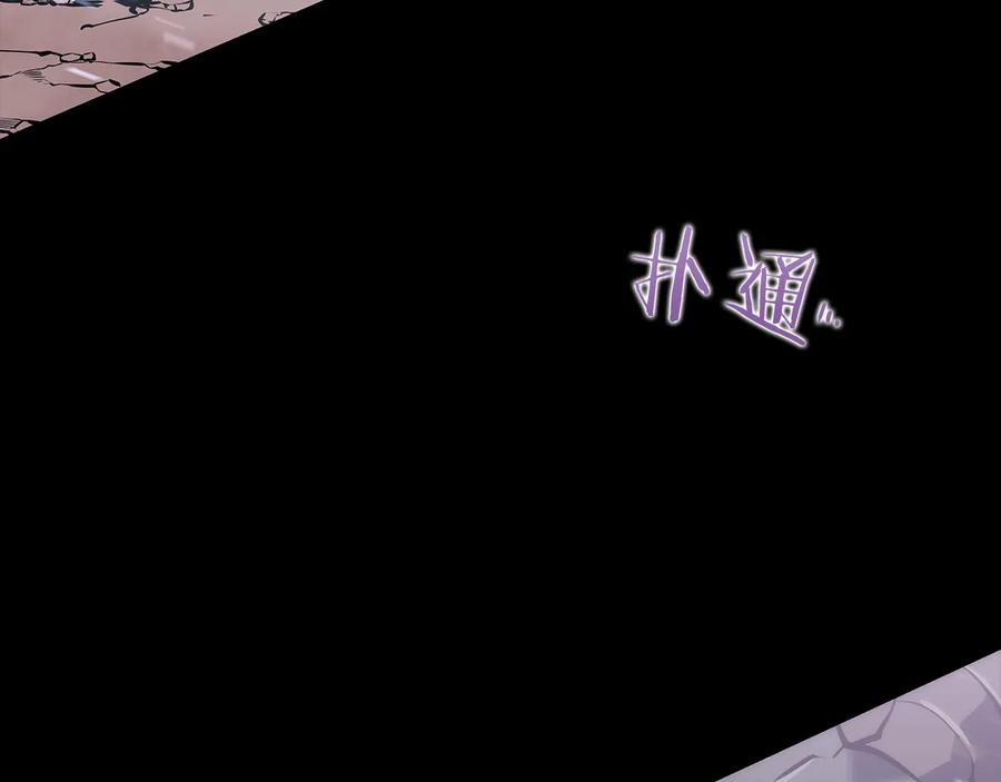第243页