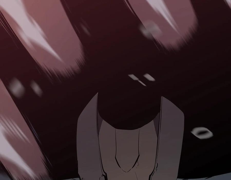 第243页